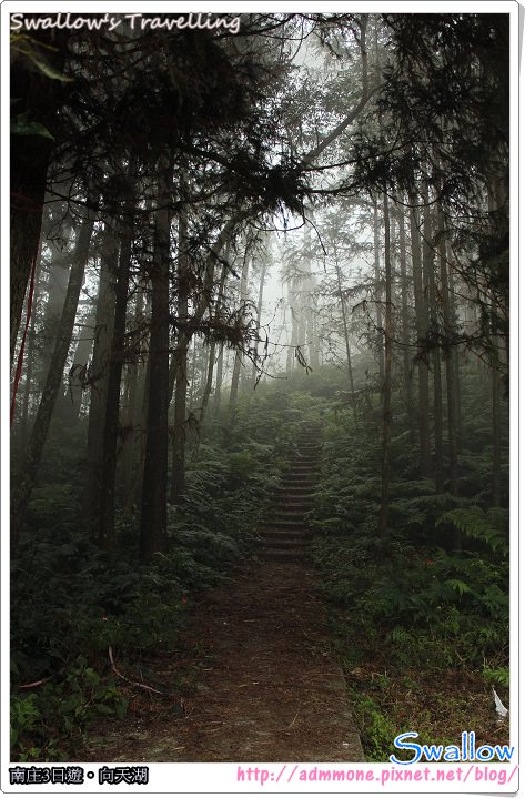 06_霧氣瀰漫的森林
