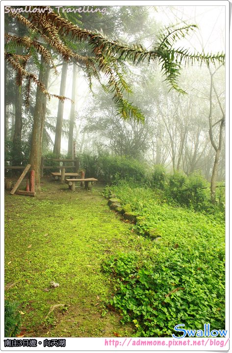 10_霧氣瀰漫的森林
